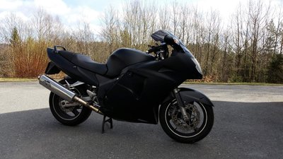 Matte blackbird (1).jpg