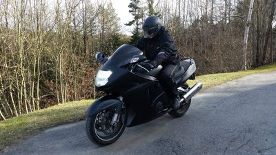 Matte blackbird (20).jpg