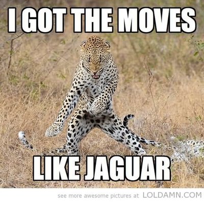 I-Got-Moves-like-Jaguar-Funny-Dance.jpg